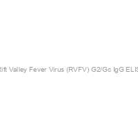RecombiVirus Mouse Anti-Rift Valley Fever Virus (RVFV) G2/Gc IgG ELISA kit, Quantitative, 96 tests